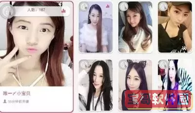 春雨直播电视剧观看最新版本