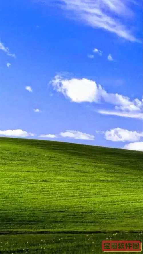 windows 手机桌面图2