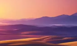 windows 手机桌面