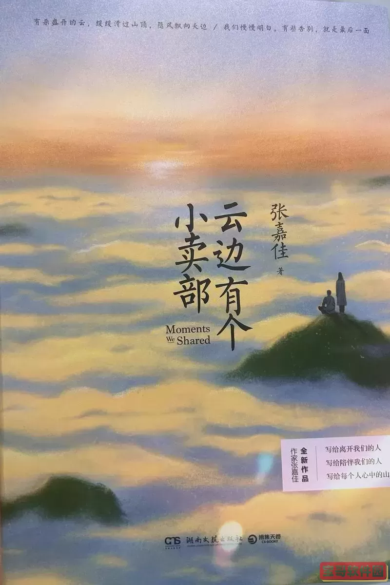 《云边有个小卖部》读书分享ppt图1