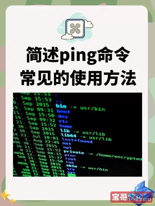 windows ping命令一直ping图2