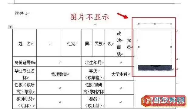 word分栏后图片显示不全图1