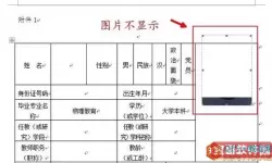 word分栏后图片显示不全