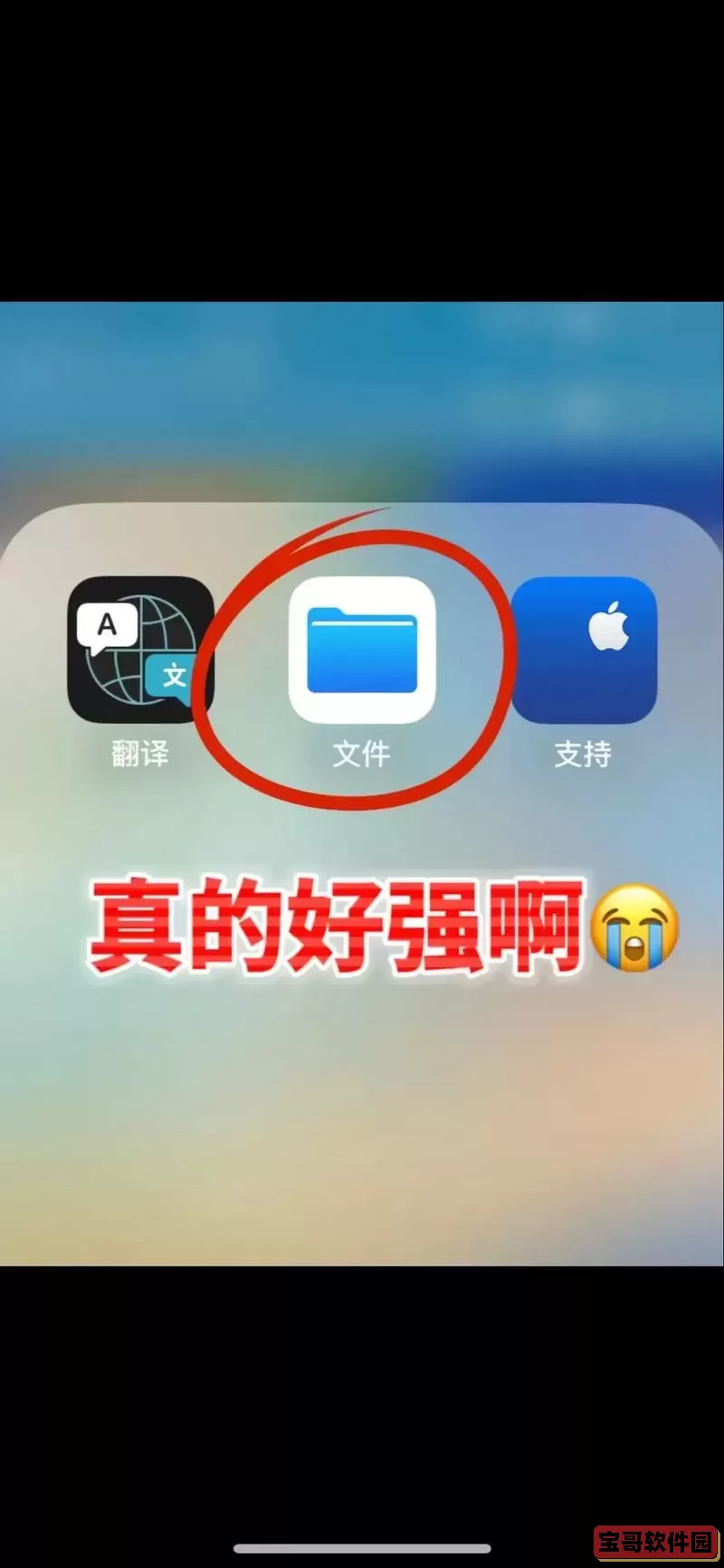 苹果手机打开exe文件的软件有哪些图2