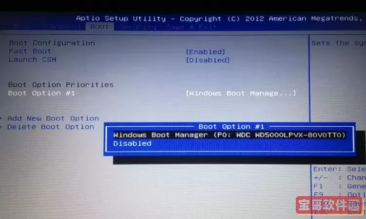boot界面没有硬盘启动图1
