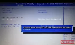 boot界面没有硬盘启动