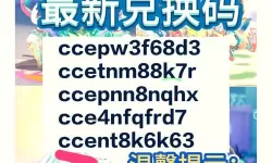 在微信输入什么代码可以玩蛋仔派对