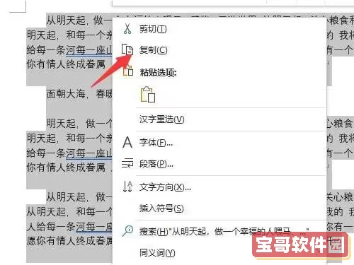 word文档怎么复制整页内容不变图3
