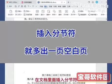 为什么分节符 下一页 会出现空白页图2