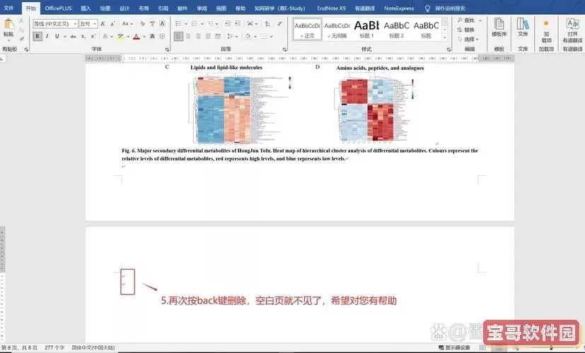 为什么分节符 下一页 会出现空白页图1