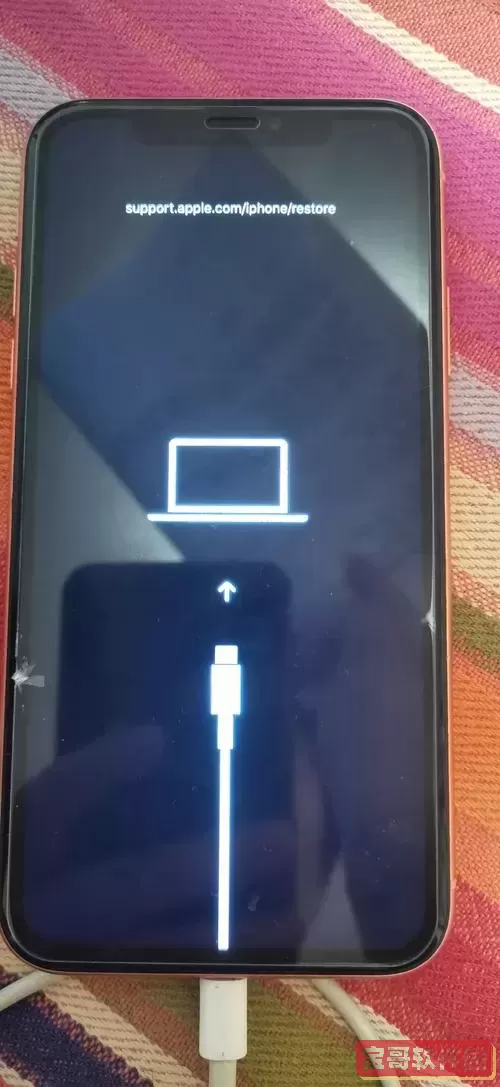 苹果手机刷机错误码3194_苹果手机刷机错误码10图1