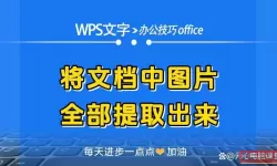 word文档怎么图片提取文字
