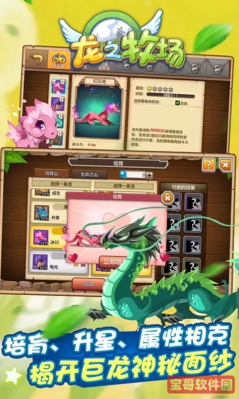 育龙高手安卓版本