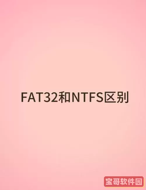 fat32和fat32(lba)图1