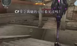 cf月兔特工踢腿