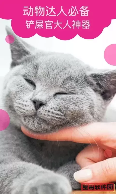 猫语翻译官网版app