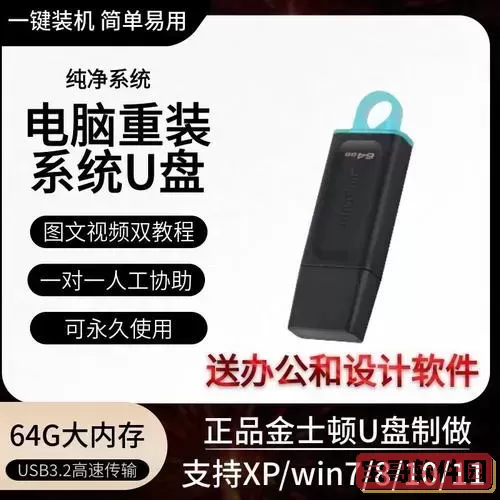 u盘重装系统软件有哪些图1