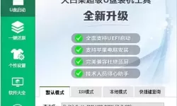 大白菜重装win10系统_大白菜重装win10系统无法进入安装界面