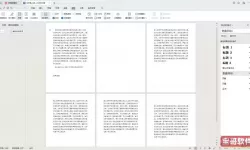 wps页面出现多个页面 怎么办