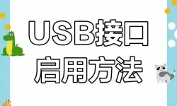 电脑USB接口禁用如何快速启动及解决方法详解