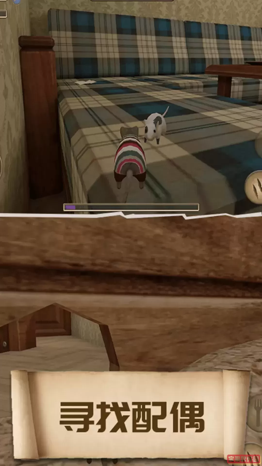 美食和老鼠老版本下载