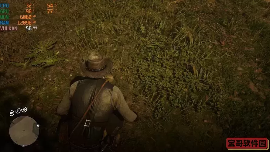 荒野大镖客2 3060帧数图1