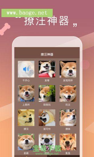 撩汪神器app手机版v1.0.0最新版下载