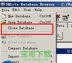 sqlite database browser下载