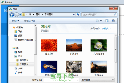 bigjpg无限制破解版下载