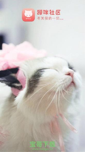 猫咪社区安卓版 v1.0.28 官方手机客户端