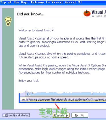 visual assist下载