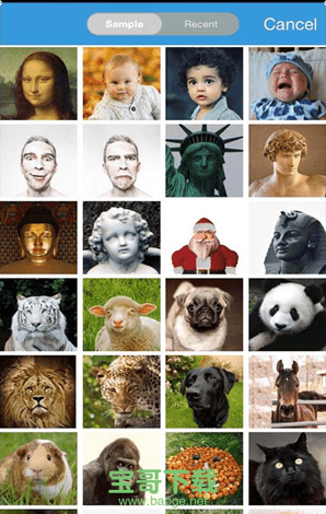 奇幻变脸秀下载