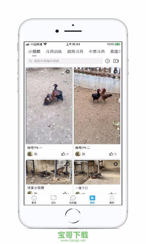 中国斗鸡论坛app下载
