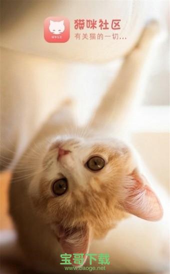 猫咪社区app下载