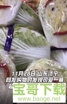 超市给大白菜添加表情包下载