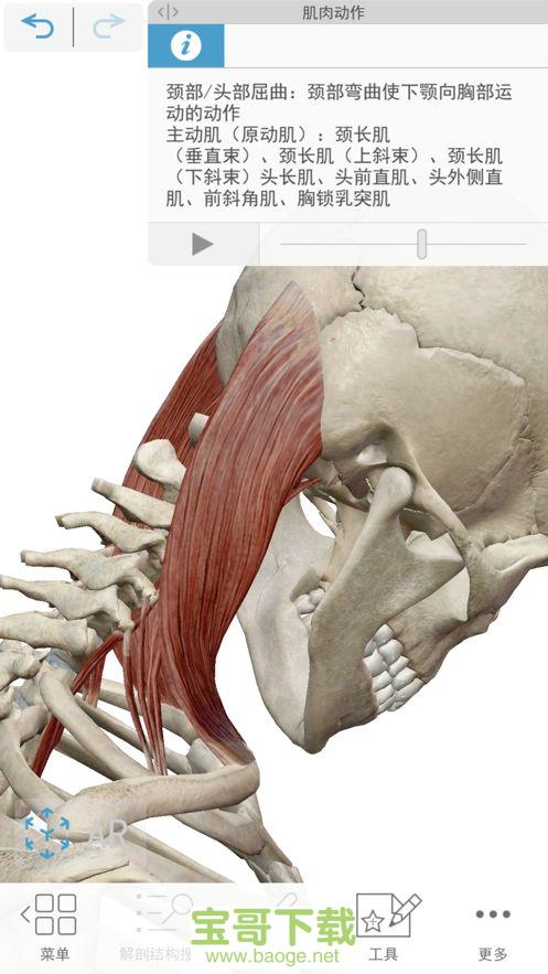 2021人体解剖学图谱下载