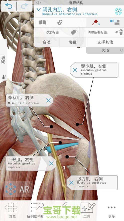 2021人体解剖学图谱安卓版 v2021.0.16官方破解版