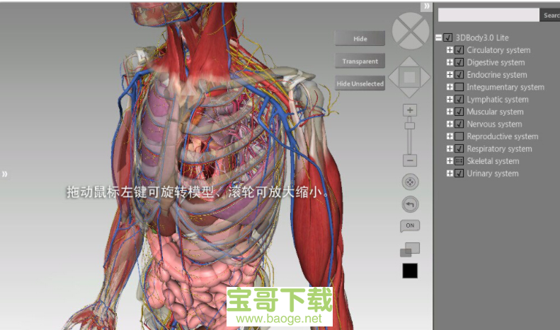 三维人体解剖软件电脑版下载