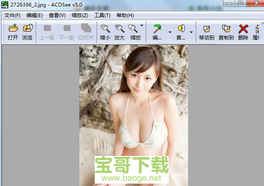 acdsee32电脑版下载 acdsee32电脑版下载