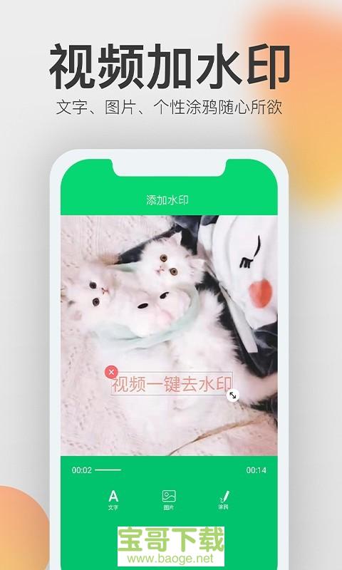 视频一键去水印下载