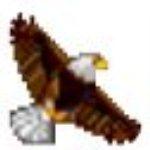 workwin局域网管理软件绿色版 5.18.18免费破解版