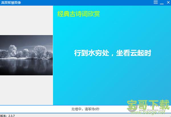 真图智慧图像下载